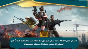 اشحن الآن 12000 شدة ببجي موبايل مع 4200 شدة إضافية مجاناً عبر الموقع الرسمي بخطوات سهلة ومضمونة